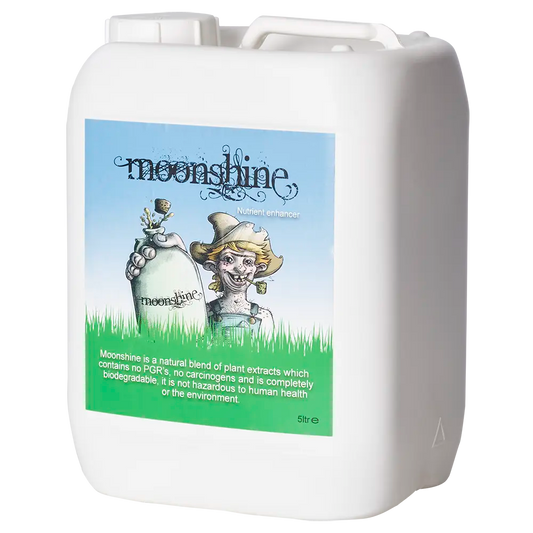 MOONSHINE