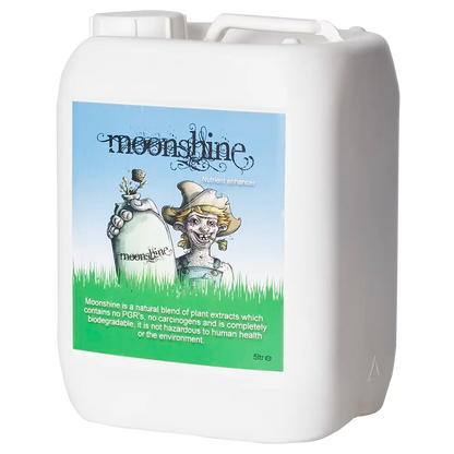 MOONSHINE