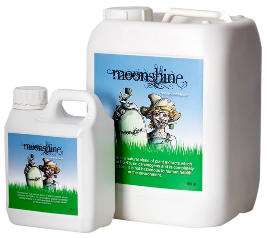 MOONSHINE