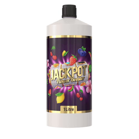 JACKPOT 1L