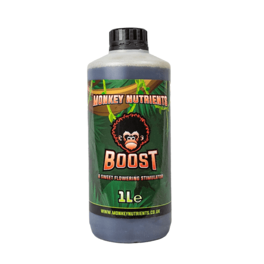 MONKEY BOOST