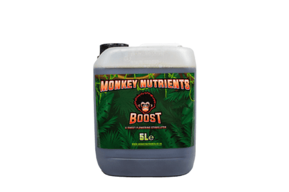 MONKEY BOOST