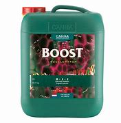CANNA BOOST ACCELERATOR