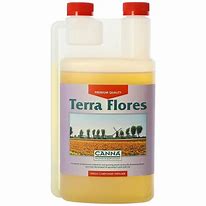 CANNA TERRA FLORES
