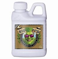 ADVANCED NUTRIENTS BIG BUD COCO