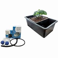 Brummie Bubbler — DWC Recirculating Bubble Cloner