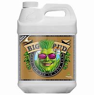 ADVANCED NUTRIENTS BIG BUD COCO
