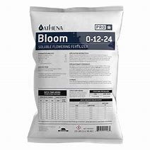 ATHENA PRO BLOOM