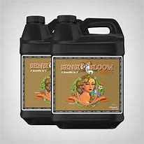 ADVANCED SENSI BLOOM COCO A&B