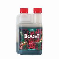 CANNA BOOST ACCELERATOR