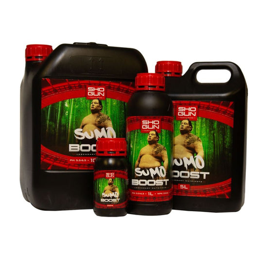 SHOGUN SUMO BOOST